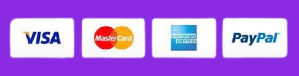 Footer payment image